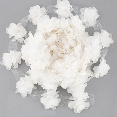 Polyester Chiffon Lace Trim OCOR-WH0007-02-1