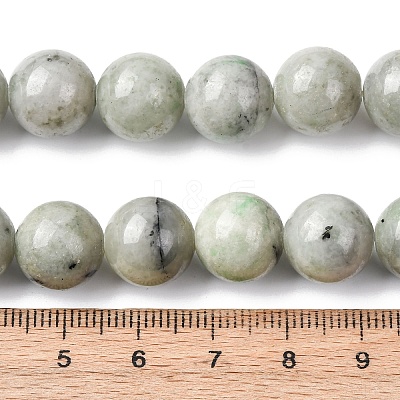 Natural Chinese Jade Southern Jade Beads Strands G-H343-D08-12mm-1