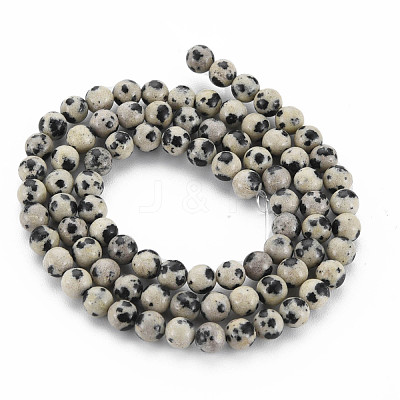 Natural Dalmatian Jasper Bead Strands G-R345-4mm-51-01-1