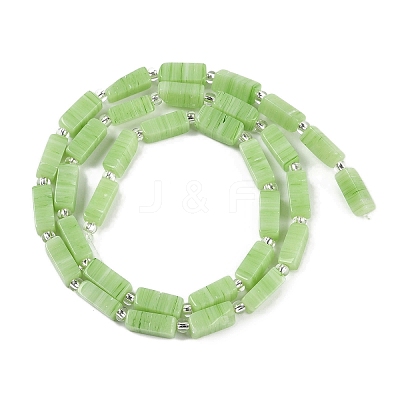Handmade Lampwork Beads Strands LAMP-Q037-01B-05-1