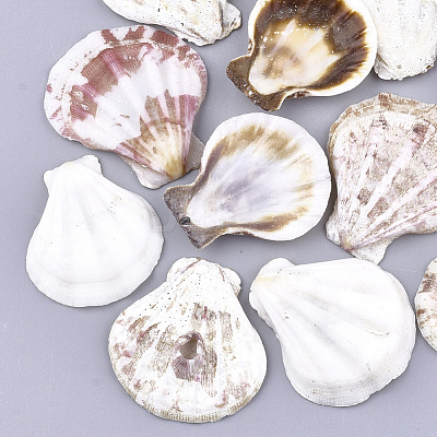 Natural Scallop Shell Beads SSHEL-S258-52-1