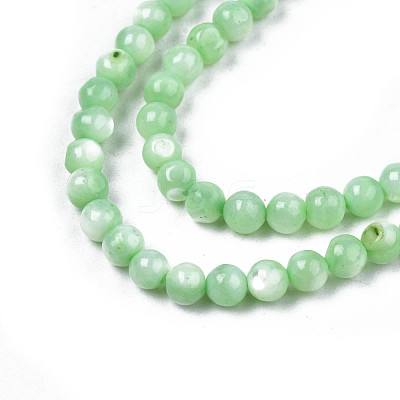 Natural Freshwater Shell Beads Strands SHEL-N003-24-B03-1