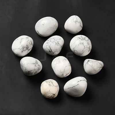 Natural Howlite Beads G-G979-A04-1