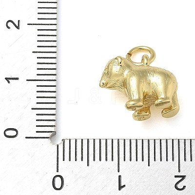 Rack Plating Brass Pendants KK-K392-21G-1