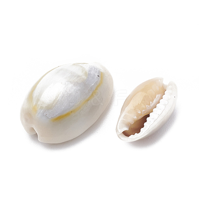 Cowrie Shell Beads X-SSHEL-T004-05-1