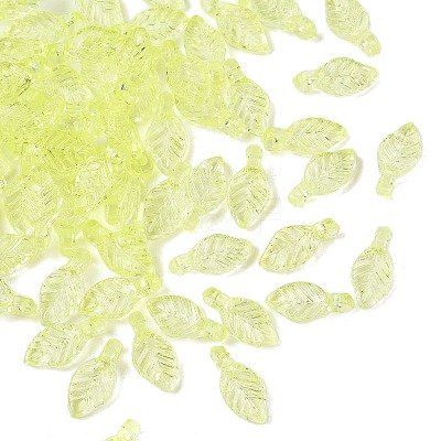 Transparent Acrylic Charms TACR-F009-11A-1