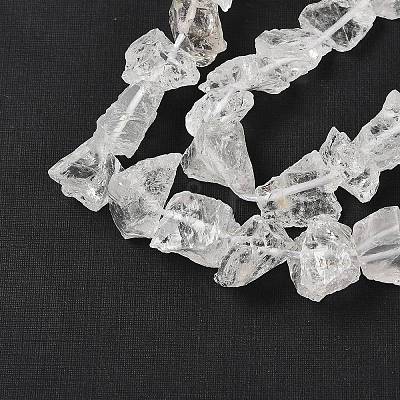 Natural Quartz Crystal Beads Strands G-Q023-A02-01-1