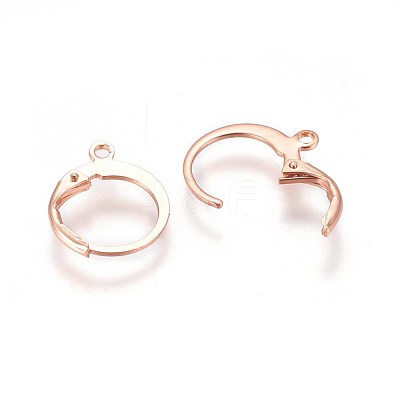 304 Stainless Steel Leverback Earring Findings X-STAS-E460-02RG-1