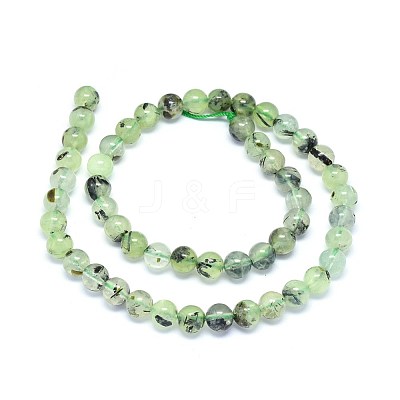 Natural Prehnite Beads Strands G-F602-01-8mm-1