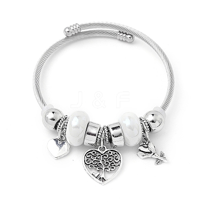 European Style Stainless Steel & Alloy Charm Bangles for Women PW-WG243C0-03-1