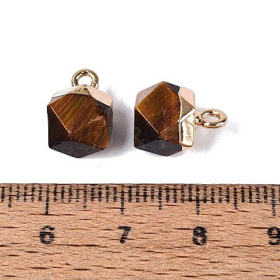 Natural Tiger Eye Pendants G-N359-18G-03-1
