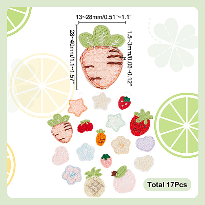 Strawberry/Carrot/Star Embroidery Cloth Sew on Appliques PATC-WH0008-135-1