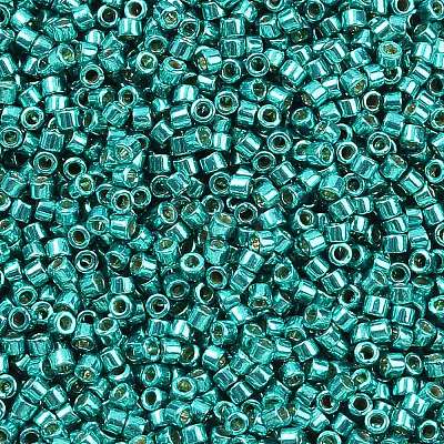 MIYUKI Delica Beads X-SEED-J020-DB2506-1