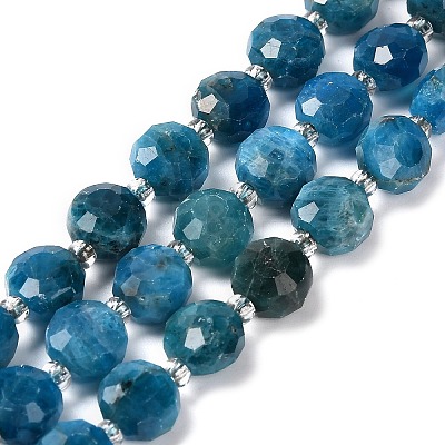 Natural Apatite Beads Strands G-B153-B05-1
