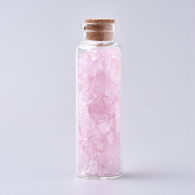 Glass Wishing Bottle DJEW-L013-A13-1