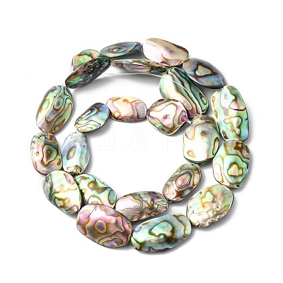 Natural Paua Shell Beads Strands SHEL-F006-03-1