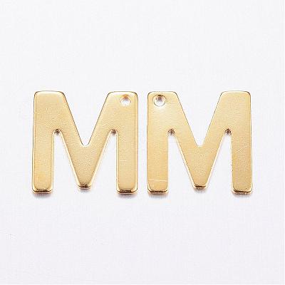 304 Stainless Steel Charms STAS-P141-M-1