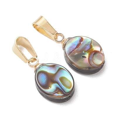 Abalone Shell/Paua Shell Pendants PALLOY-JF05265-1