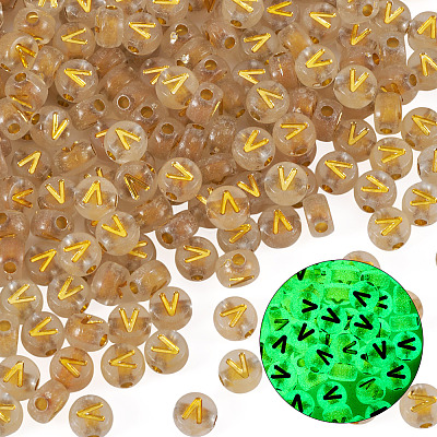 50G Luminous Transparent Acrylic Beads OACR-TAD0001-01V-1