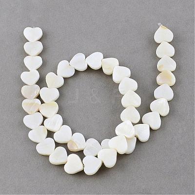 Natural Freshwater Shell Beads Strands SSHEL-Q296-40-1