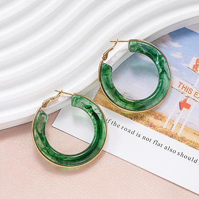 304 Stainless Steel Acrylic Hoop Earrings FS-WG57303-05-1