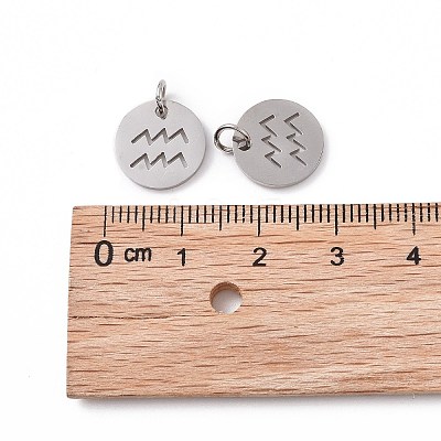 Non-Tarnish 304 Stainless Steel Charms STAS-Q201-T445-11S-1