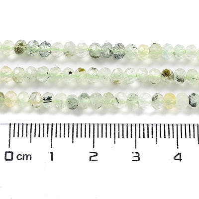 Natural Prehnite Beads Strands G-J400-C05-02-1