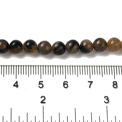 Natural Chiastolite Beads Strands G-Q161-A03-02-1