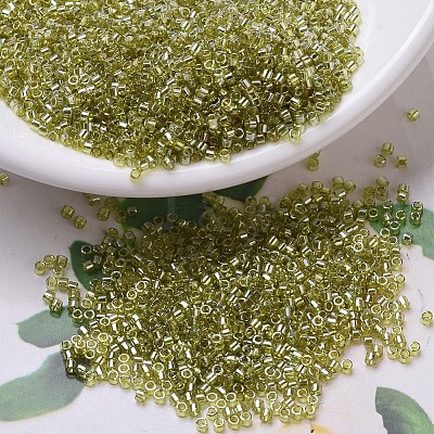 MIYUKI Delica Beads Small X-SEED-J020-DBS0124-1
