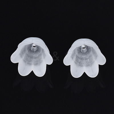 Transparent Acrylic Bead Caps FACR-N005-002-1