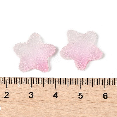 Imitation Candy Food Style Resin Cabochons X1-RESI-R461-02K-1