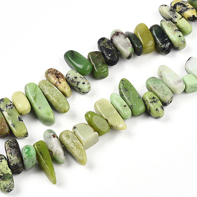 Natural Serpentine Beads Strands G-T140-62-1