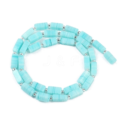 Handmade Lampwork Beads Strands LAMP-Q037-01B-04-1