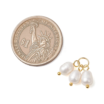 Natural Cultured Freshwater Pearl 3 Rice Charms PALLOY-JF05056-01-1