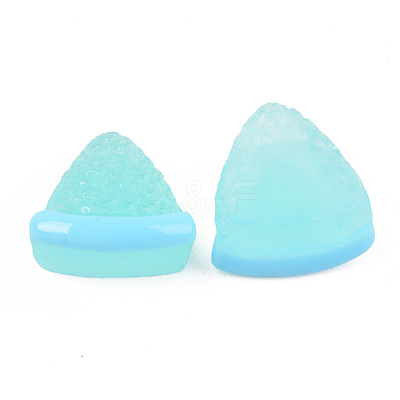 Resin Cabochons CRES-R197-04-1