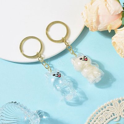 Iron Plastic Keychains LS-KEYC-FZC0001-001B-G-1