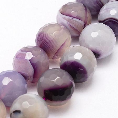 Faceted Natural Agate Beads Strands G-F344-27-1