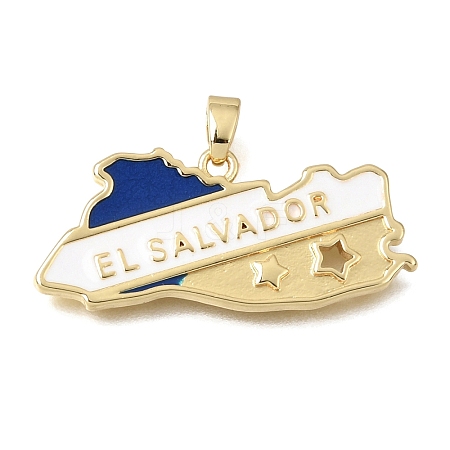 Brass Enamel Pendants KK-C263-30C-G-1