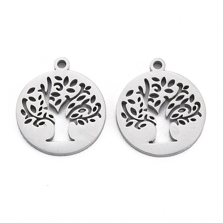 Non-Tarnish 304 Stainless Steel Charms STAS-N095-053-1