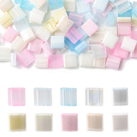 100Pcs 10 Styles 2-Hole Glass Seed Beads SEED-FS0001-45-1