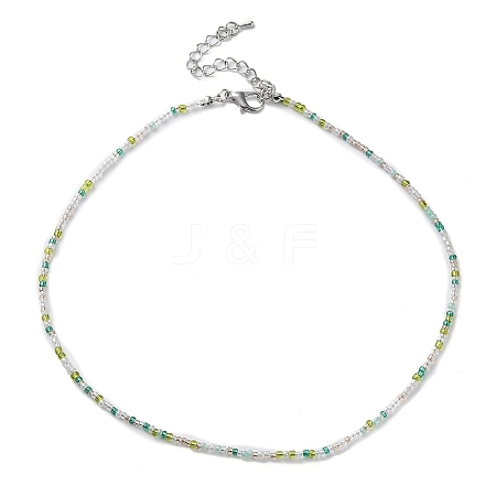 Glass Beaded Necklace NJEW-Z029-05O-1