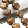 Natural Picture Jasper Beads Strands G-C150-A26-01-1