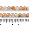 Natural Cherry Blossom Agate Beads Strands G-H062-A02-01-5