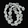 Natural Quartz Crystal Beads Strands G-H023-B17-01-3