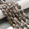 Natural Crazy Lace Agate Beads Strands G-G102-B01-01-2