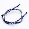 Natural Shell Bead Strands BSHE-P016-10-2