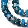 Natural Apatite Beads Strands G-N327-07D-3