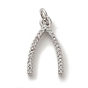 Rack Plating Brass Micro Pave Cubic  Zirconia Pendant KK-U027-14P-1