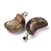 Natural Crazy Agate Pendants G-F820-02L-10-3