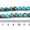 Natural Imperial Jasper Beads Strands G-N342-63C-5